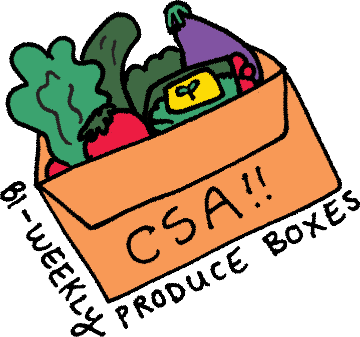 Community Supported Agriculture Produce Boxes